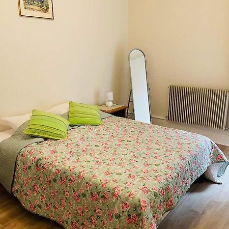 Appartement Cosy Colmar Esterno foto